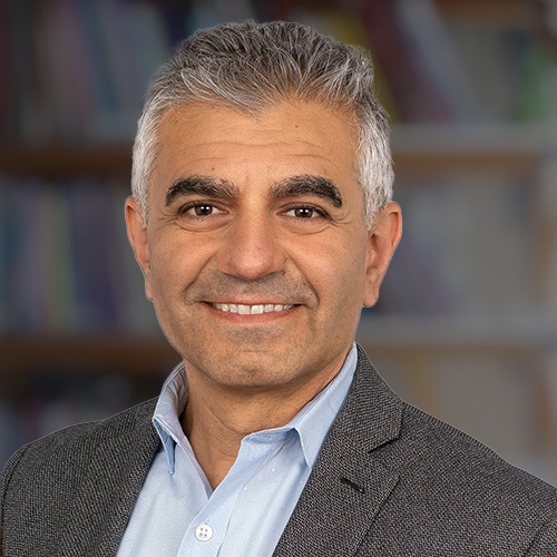 Amir Reza