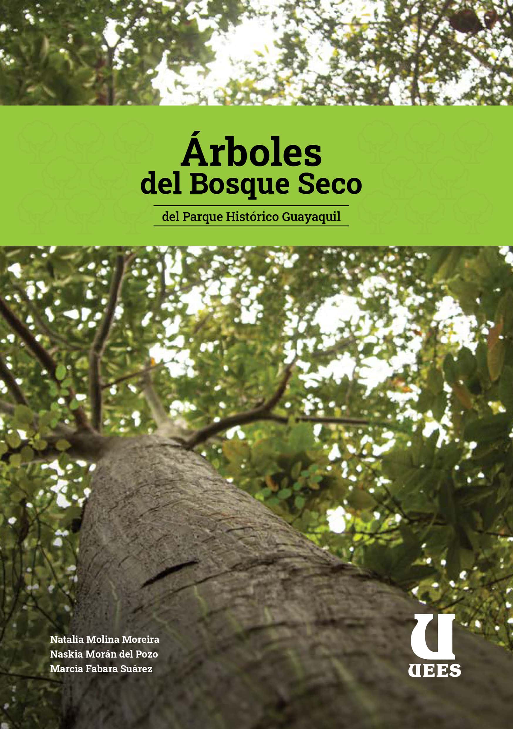 Árbol con huecos  Arbol fotos, Tipos de arboles, Plantación de árboles